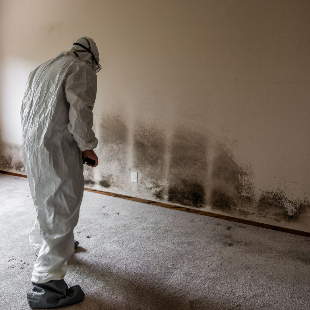mold remediation (1) Pressure Washing