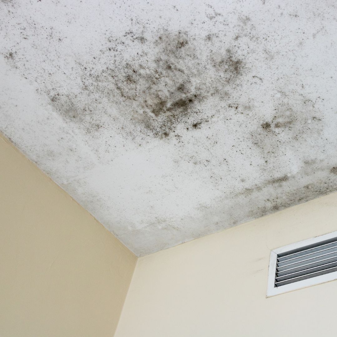 Pressure Washing