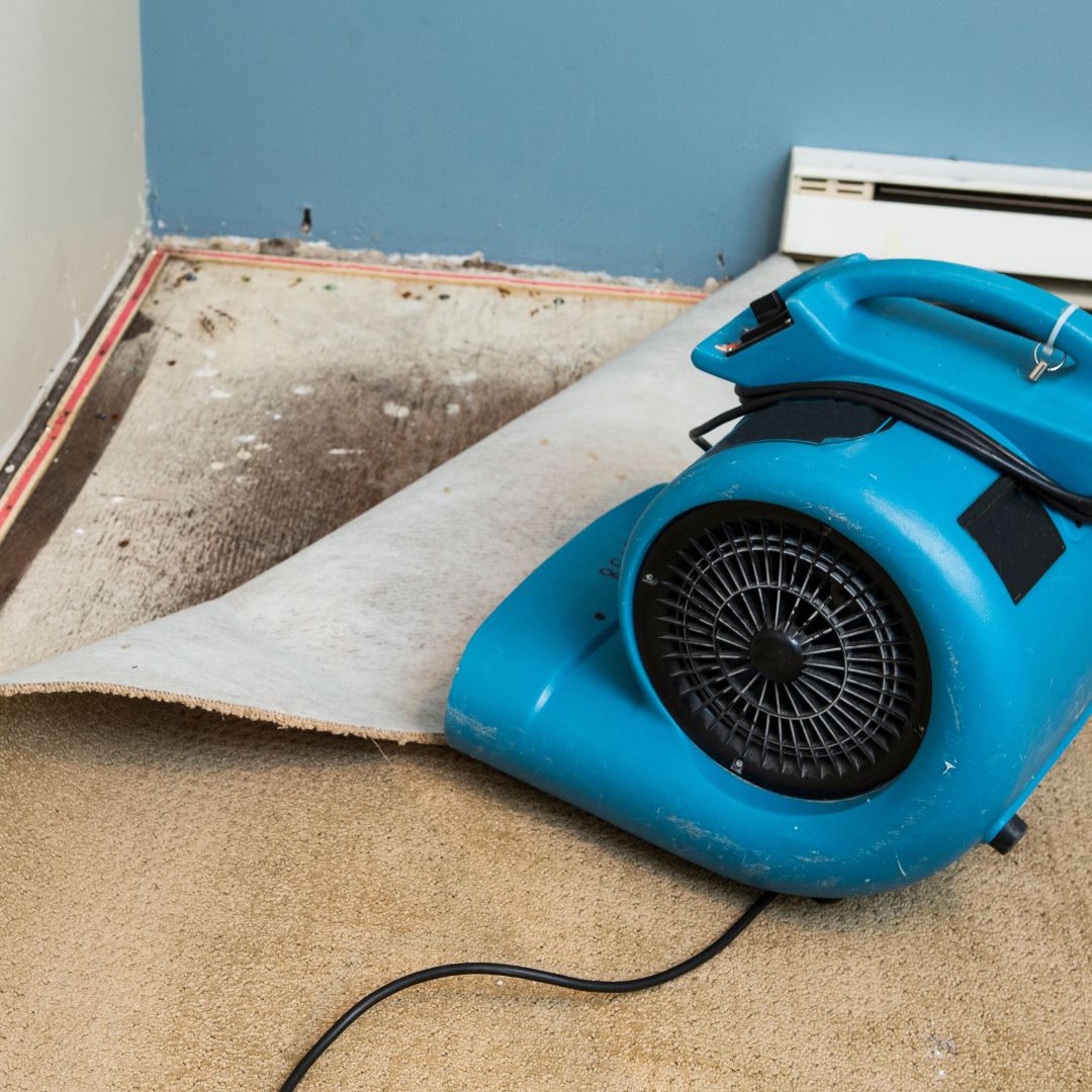 water damage restoration